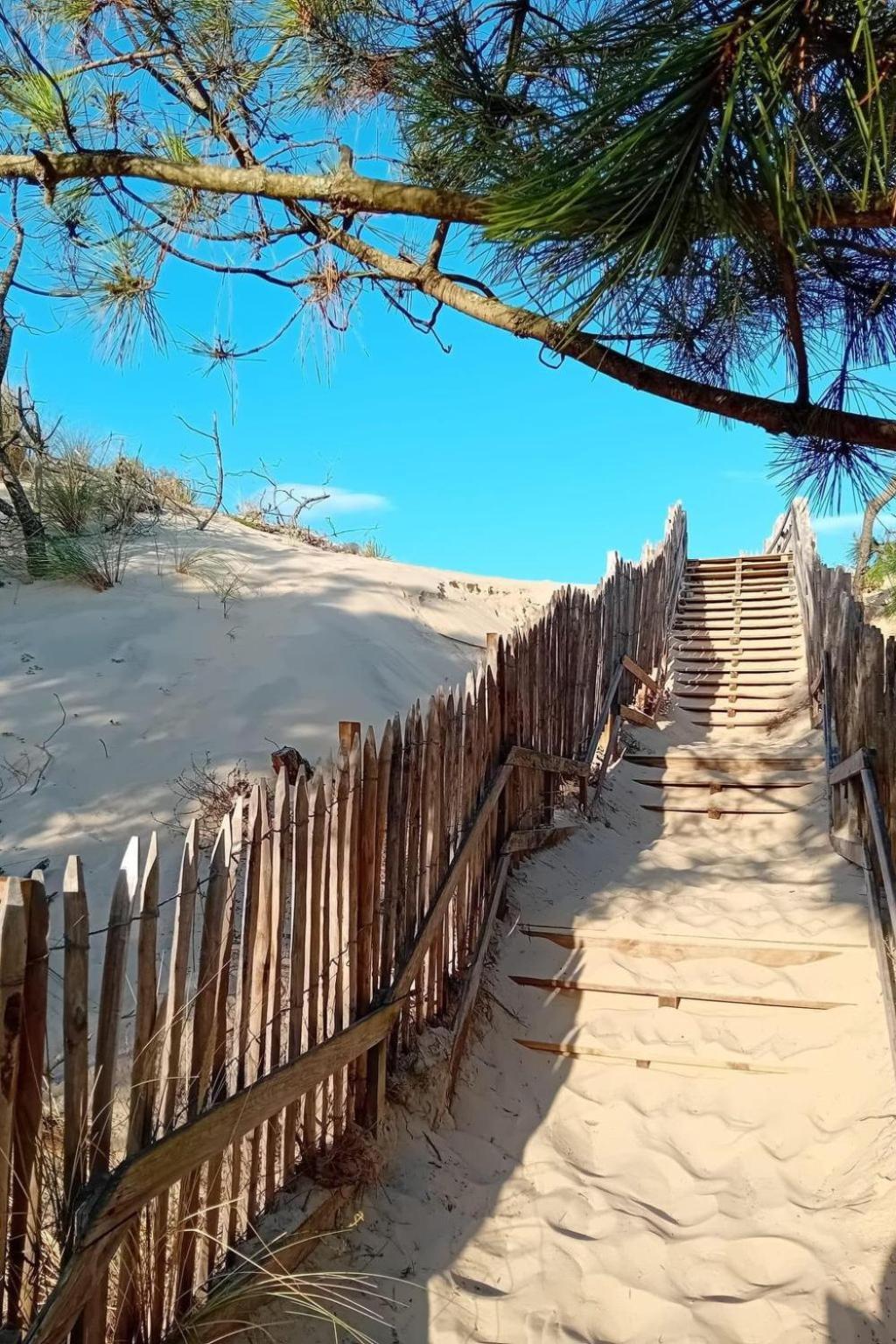 Holiday Home Les Bruyeres By Interhome มีมีซ็อง-ปลาจ ภายนอก รูปภาพ